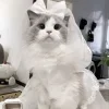 👰‍♀ Эмодзи «Кисульки» для Telegram