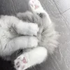 🔞 Эмодзи «Кисульки» для Telegram