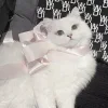 😶 Эмодзи «Кисульки» для Telegram