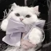 🐈 Эмодзи «Кисульки» для Telegram