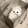 🤍 Эмодзи «Кисульки» для Telegram