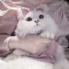 🥺 Эмодзи «Кисульки» для Telegram