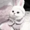 🥺 Эмодзи «Кисульки» для Telegram