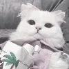 💘 Эмодзи «Кисульки» для Telegram