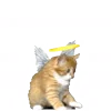 🐱 Эмодзи «Cats Big Pack» для Telegram