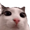Эмодзи Cats Big Pack для Telegram — скачать