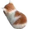🐱 Эмодзи «Cats Big Pack» для Telegram