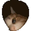 🐱 Эмодзи «Cats Big Pack» для Telegram