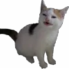 🐱 Эмодзи «Cats Big Pack» для Telegram