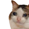 🐱 Эмодзи «Cats Big Pack» для Telegram