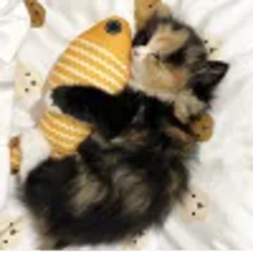 🤩 Эмодзи «⠀ ⠀ ⠀ ⠀ ⠀Cats» для Telegram