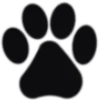 🐱 Эмодзи «𓄹 ᴄᴀᴛs 𓄹» для Telegram