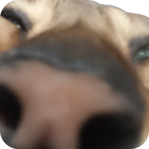 🪑 Стикер «Цезарь» для Telegram