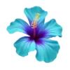 🌺 Эмодзи «Счастье рядом» для Telegram