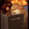 📓 Эмодзи «🕺 Cheems Emomjis Doge» для Telegram
