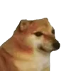 🙃 Эмодзи «🕺 Cheems Emomjis Doge» для Telegram