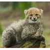 🤩 Эмодзи «Cheetahs» для Telegram