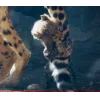 🤩 Эмодзи «Cheetahs» для Telegram
