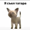 🤩 Эмодзи «Cheetahs» для Telegram