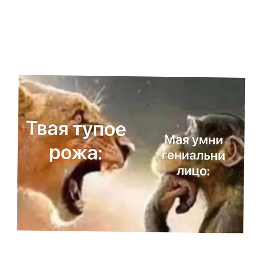 🖼 Стикер «Пїдарьоніш» для Telegram