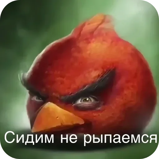 👄 Стикер «Пїдарьоніш» для Telegram