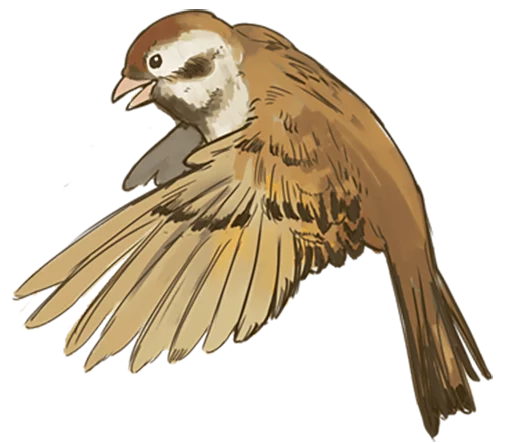 🐤 Стикер «Chik Chirik the sparrow» для Telegram