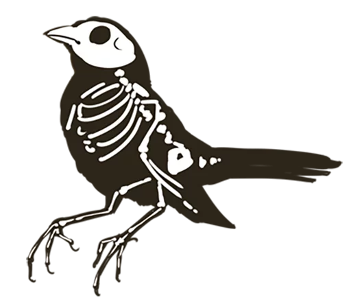💀 Стикер «Chik Chirik the sparrow» для Telegram