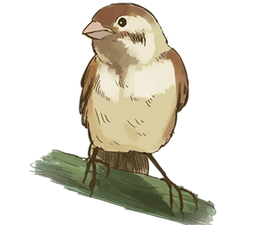 😒 Стикер «Chik Chirik the sparrow» для Telegram