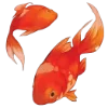 🐟 Эмодзи «Chinese Emoji» для Telegram