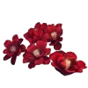 🌺 Эмодзи «Chinese Emoji» для Telegram