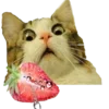 🍓 Эмодзи «Необычные эмодзи 💸» для Telegram