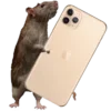 🐀 Эмодзи «Необычные эмодзи 💸» для Telegram