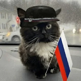 🇷🇺 Стикер «Чмоня» для Telegram