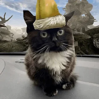 🐱 Стикер «Чмоня» для Telegram