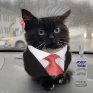 🛀 Стикер «Чмоня» для Telegram