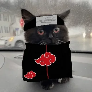 🎴 Стикер «Чмоня» для Telegram
