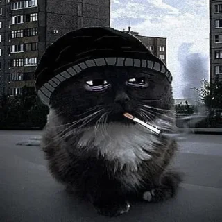 😢 Стикер «Чмоня» для Telegram