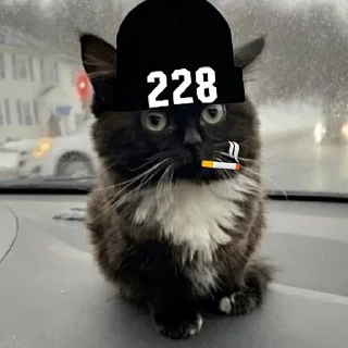 🍾 Стикер «Чмоня» для Telegram