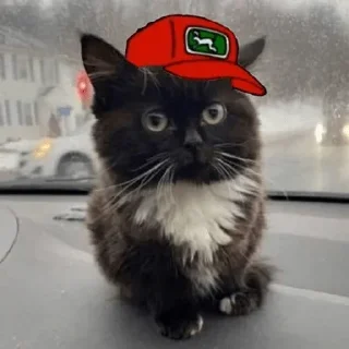 🧢 Стикер «Чмоня» для Telegram