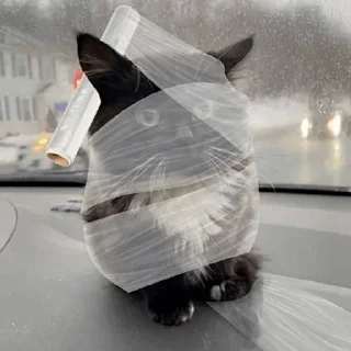 🌫️ Стикер «Чмоня» для Telegram
