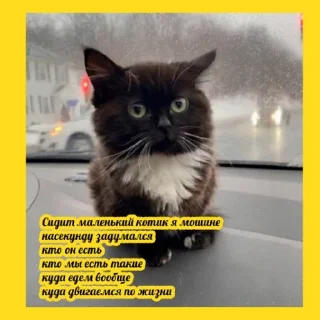 🧐 Стикер «Чмоня» для Telegram