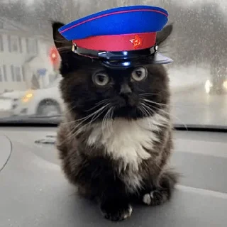 🔫 Стикер «Чмоня» для Telegram