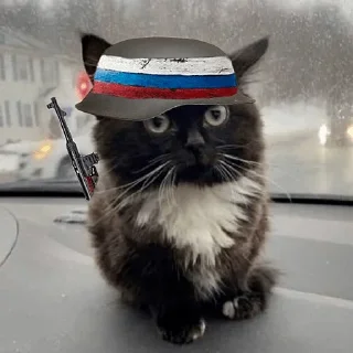 🔥 Стикер «Чмоня» для Telegram