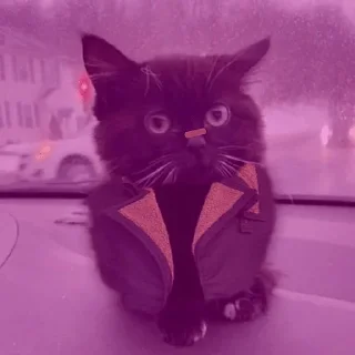🏺 Стикер «Чмоня» для Telegram