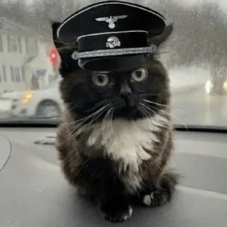 🇩🇪 Стикер «Чмоня» для Telegram