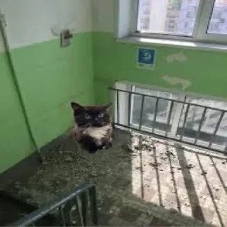 😒 Стикер «Чмоня» для Telegram
