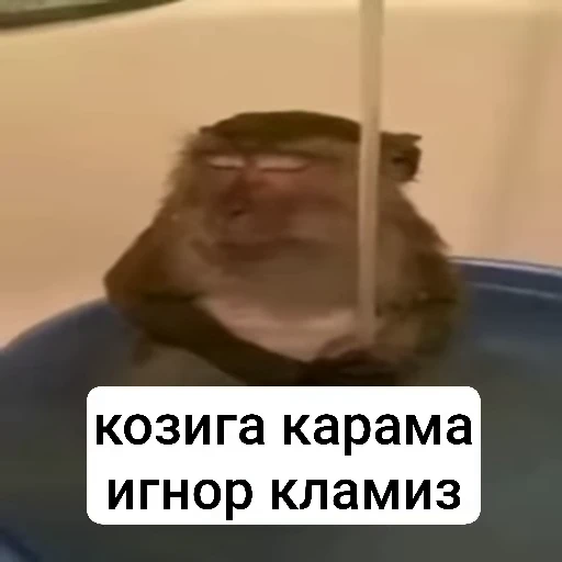 🌟 Стикер «sawastik» для Telegram