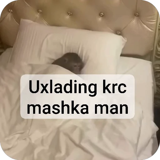😴 Стикер «sawastik» для Telegram