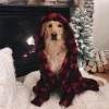 🙂 Эмодзи «Новогодние Собаки» для Telegram