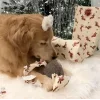 🎁 Эмодзи «Новогодние Собаки» для Telegram